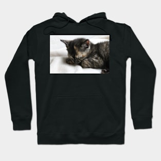 Sleepy Sleeps Hoodie